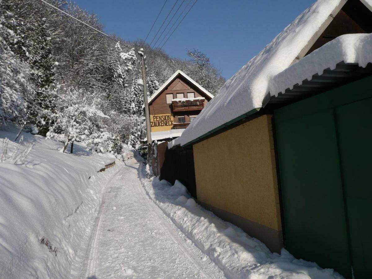 Pension Zaukeneck บาดชานเดา ภายนอก รูปภาพ